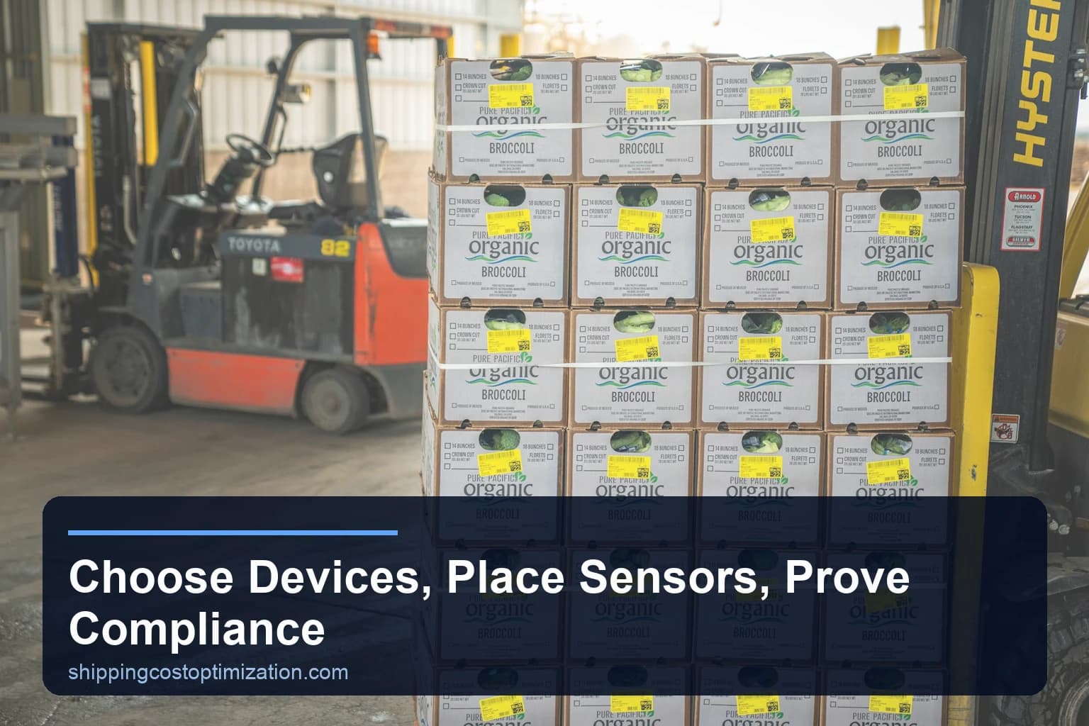 Choose Devices, Place Sensors, Prove Compliance — Perishables & cold chain basics